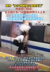 ​女子阻挡高铁关门原因曝光，并非首例，铁路部门回应：依法处理