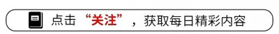 ​笑喷！狗骑着卖切糕老板的车走了，狗主人赔了8000元，评论区笑死