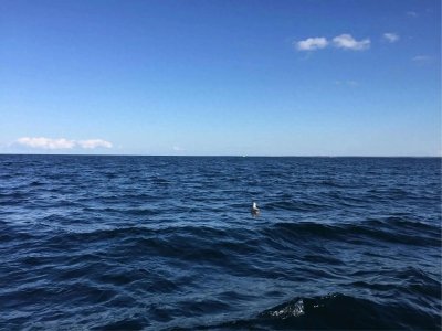 ​我国四大海域简要概况