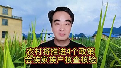 ​# 农民有福了：农村将继续推进“4个政策”