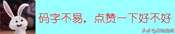小叶金边六月雪怎么养（盆景说金边六月雪5个养护细节）(7)