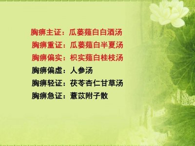 ​瓜蒌薤白半夏汤（古代经典名方1018）