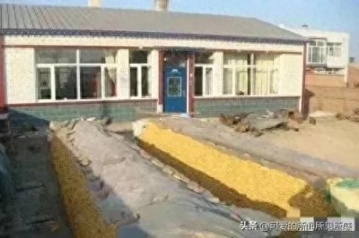 ​“有本事的人容易断香火，没本事的人反而人丁兴旺”，这是咋回事