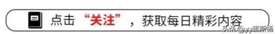 ​樊登：从央视名嘴到知识亿万富翁的飞跃