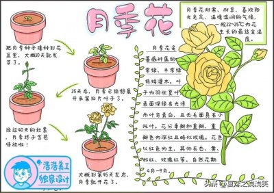 ​自然观察笔记手抄报