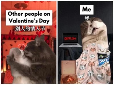 ​哈哈一笑，一些情人节专属搞笑图