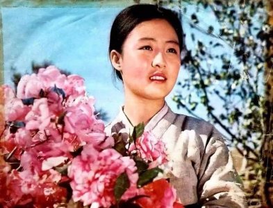 ​朝鲜电影卖花姑娘