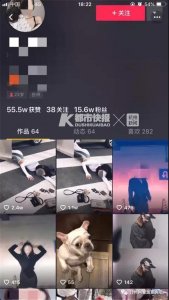 ​浙江网红女主播斑马线上“炫富摔”，被处以罚款150元