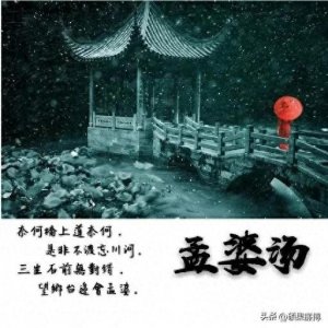 ​奈何桥上叹奈何，孟婆汤碗泪成波。前尘往事随风去，来世难期……