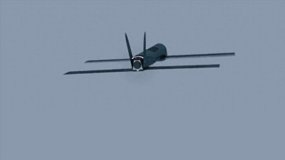 ​美军最新型微型武器，战场指挥官的噩梦，战场暗杀之王