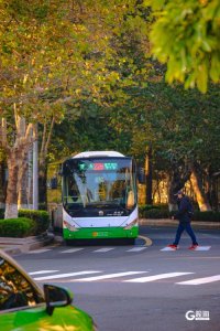 ​青岛街头驶出主题巴士，来一场浪漫的“秋日漫游”吧！