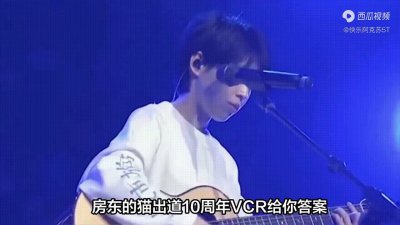 ​房东的猫：乐坛独特的存在，娱乐圈的宠儿