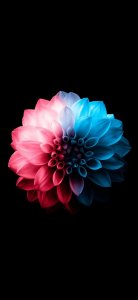 ​iPhone高清壁纸 | 一组ios原生态经典壁纸，快来看看吧