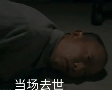 ​高级特工穿山甲表情包