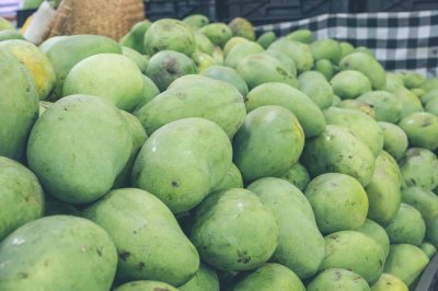 ​芒果吃多了会怎么样