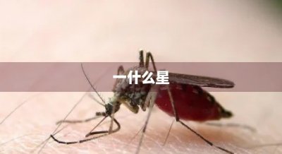 ​一什么星(一什么星星填量词)
