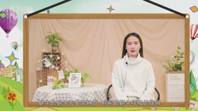 ​蜗牛的特点和本领300字 蜗牛的反向特征作文300字