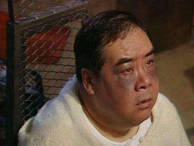 肥猫和林正英大战（你还记得肥猫和斯琴高娃联合主演的奇人奇案吗）(1)