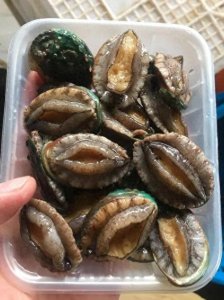 ​你知道“几头”鲍鱼？