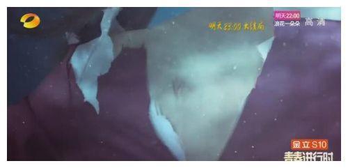 楚乔传大结局,燕洵射杀宇文玥,星玥跌入冰湖生死未卜