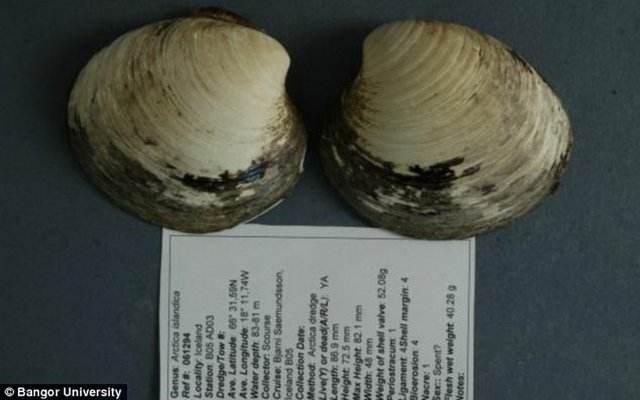 这只经历了400年风雨的生物,在实验室里被科学家研究死了