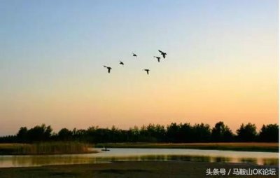 ​蚌埠周边一日游好去处