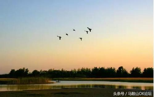 1.五河湿地公园