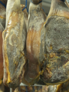 ​火腿是哪里的特产(火腿是哪里的特产的产地)