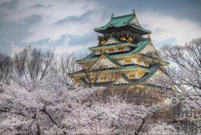 大阪旅游攻略8天详细(Osaka日本大阪旅行攻略)(11)