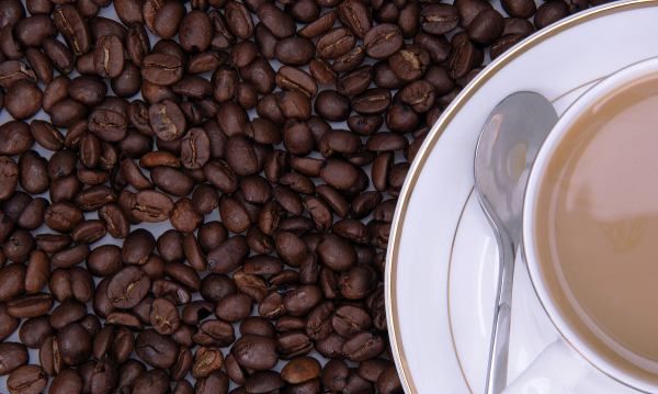 猫屎咖啡的由来,猫屎咖啡为什么好喝图7