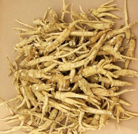 花旗参有什么作用与功效