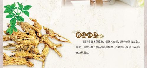 花旗参有什么功效和作用