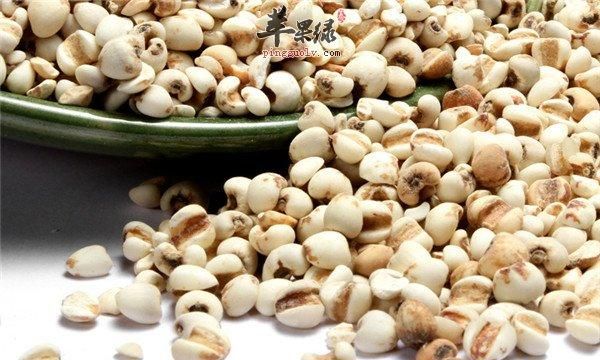 薏米如何快速煮烂