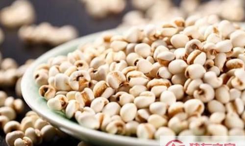 如何挑选好的薏米粉