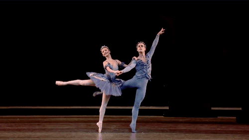 世界著名的芭蕾舞蹈家(为什么世界上最伟大的芭蕾舞剧出自俄罗斯)(7)