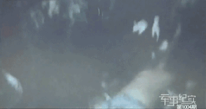 回顾2008年的大事(这些瞬间会让你泪流满面)(28)