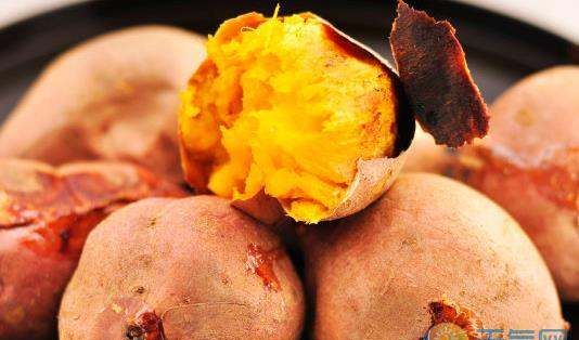 白露节气吃什么传统食物,白露节气吃什么传统食物好图8