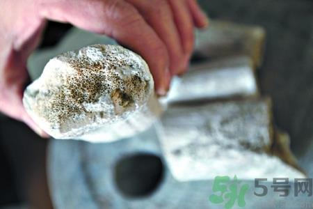 鹿角霜的药用价值是什么?鹿角霜的功效和作用 鹿角霜的药用价值是什么?鹿角霜的功效和作用