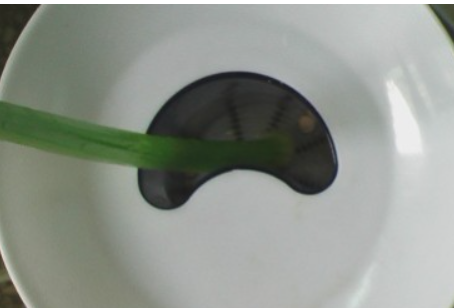 青瓜生菜可以榨汁,生菜和什么一起吃减肥图5