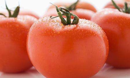 青瓜生菜可以榨汁,生菜和什么一起吃减肥图3