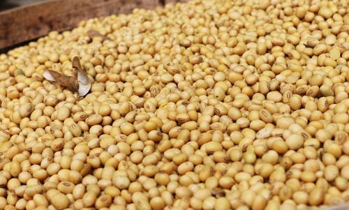 黄豆酱的保存方法