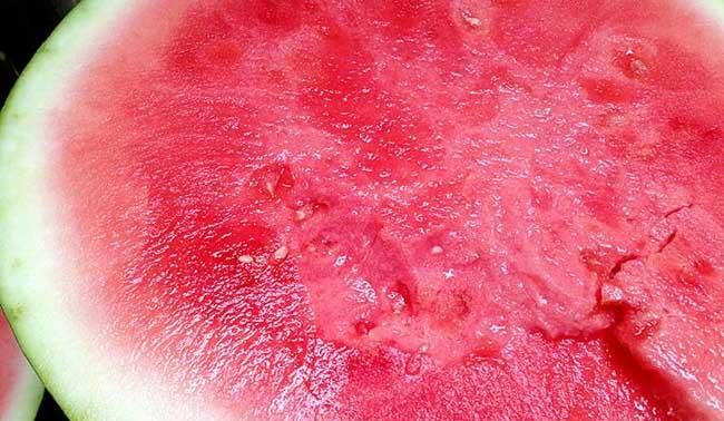 无籽瓜对身体有害吗,无籽西瓜与正常西瓜相比 对身体有影响