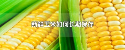​新鲜玉米如何长期保存
