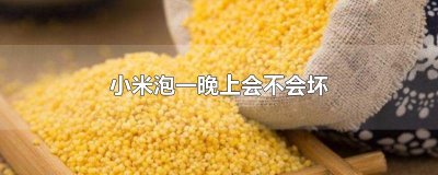 ​小米泡一晚上会不会坏