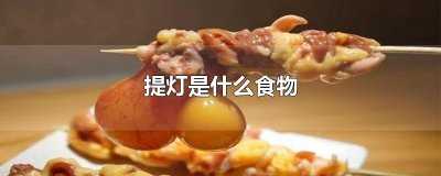 ​提灯是什么食物