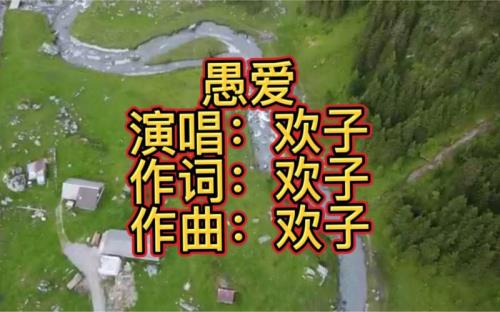 欢子.愚爱是什么意思