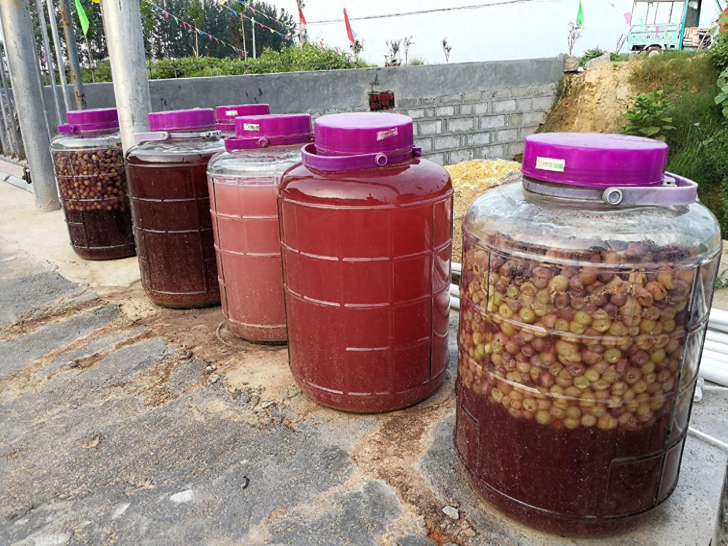 这么多葡萄，金手指12元一斤，红宝石10元3斤，你喜欢哪一种