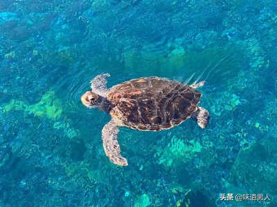 ​人生无常的意思解释（德者敬之，俗者惧之，谋者悔之而已）