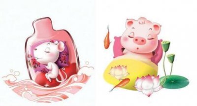 ​95猪和96鼠合不合 1996年属鼠和1995年属猪的婚姻配对