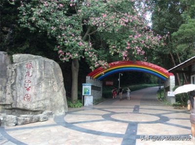 ​带你去旅游——厦门狐尾山公园